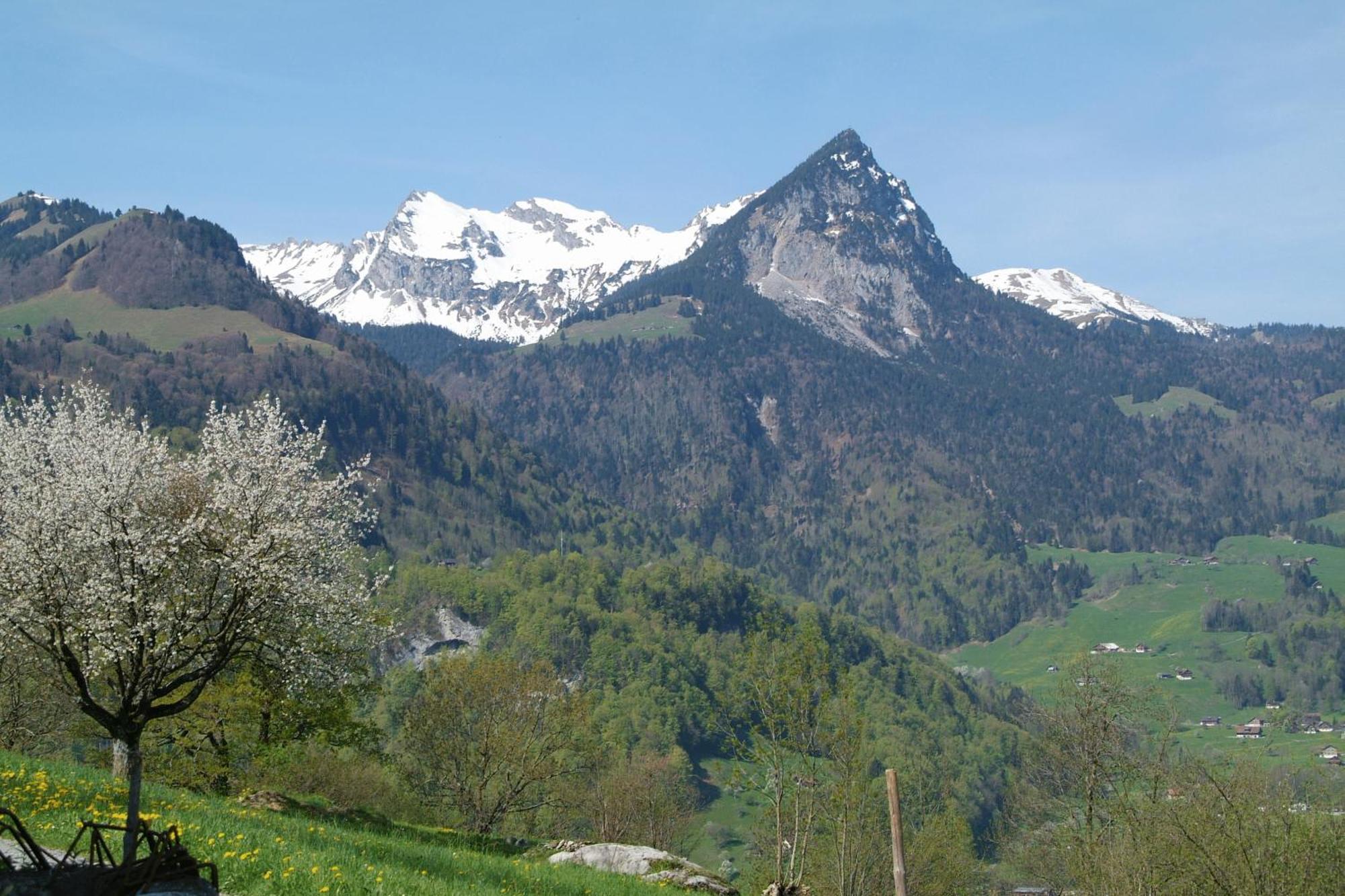 Landgasthof Grossteil Giswil Esterno foto