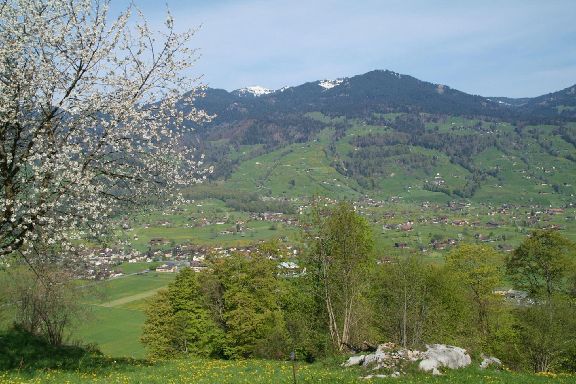 Landgasthof Grossteil Giswil Esterno foto